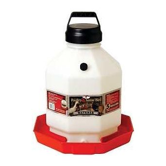 Little Giant PPF5 Poultry Waterer 5 gal Capacity Plastic